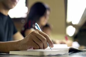 Ідеться про "програму гарантованого першого робочого місця"