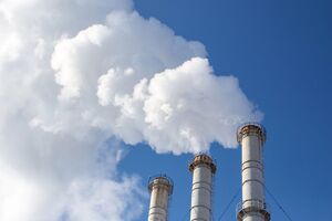 Зменшення ВВП і доходів держави унеможливить створення системи контролю викидів, попередила Циганок