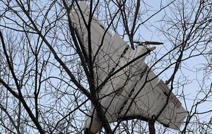 В ВС ВСУ сообщили, где сбивали вражеские дроны