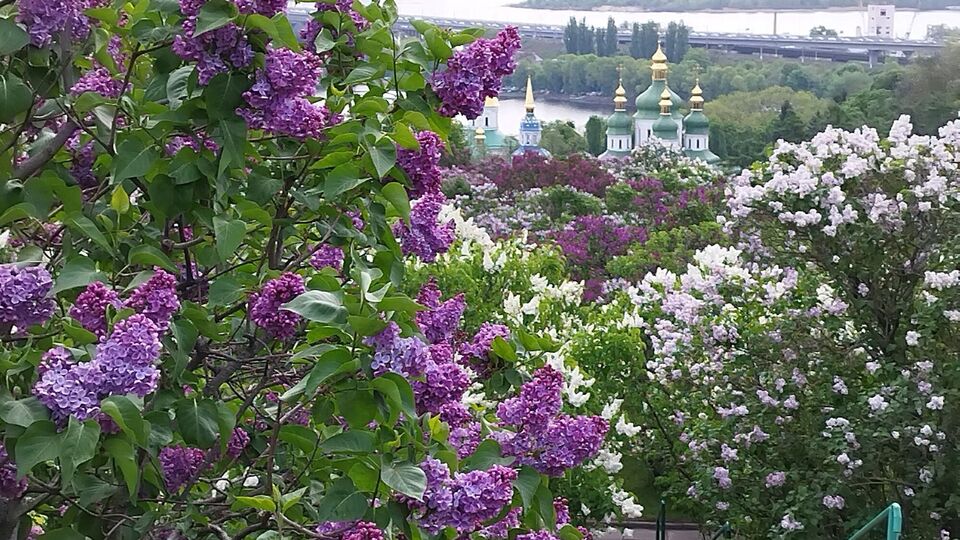 В Киеве прогноз обещает похолодание