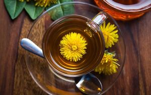 Чай готовится из свежих или сушеных цветов одуванчика