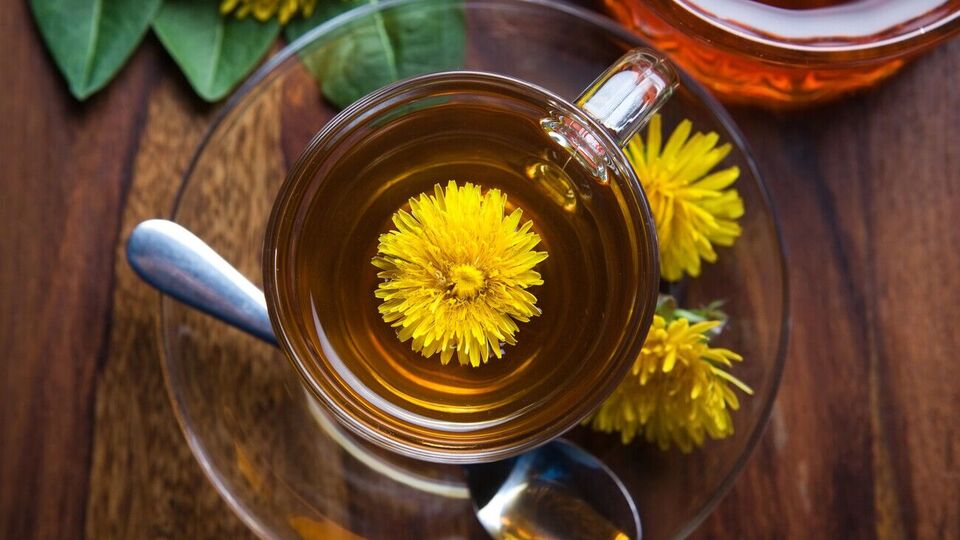 Чай готовится из свежих или сушеных цветов одуванчика