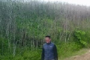 Наближення до кордону зафіксували фотопасткою