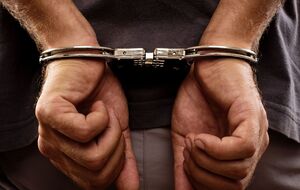 Поліція повідомила про затримання підозрюваного в підпалах