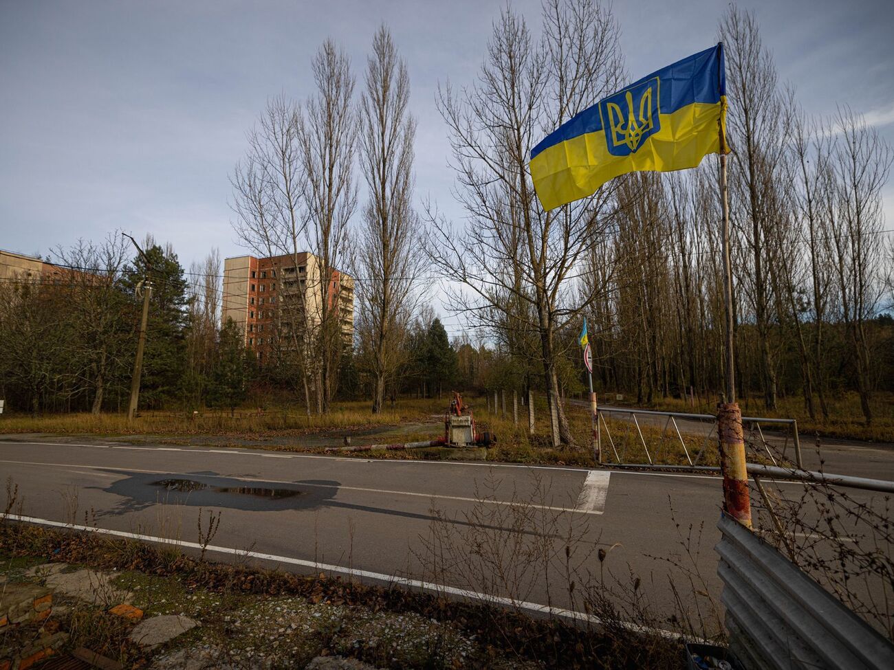 У зоні відчуження тварин-мутантів немає, заявив Іщенко