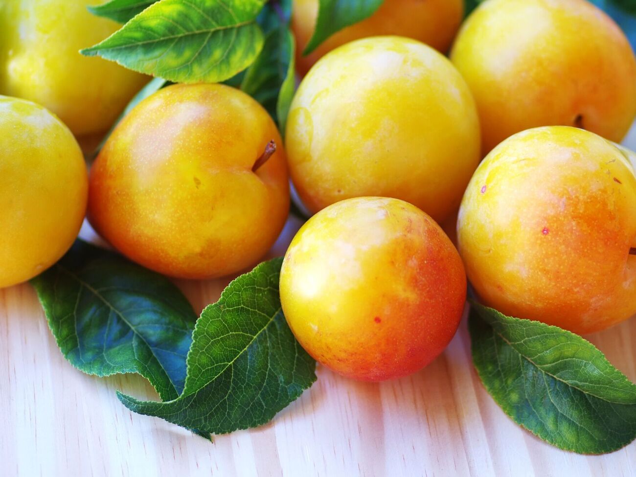 Желтые сливы можно употреблять свежими или консервировать