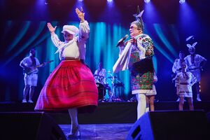 Данилко: Мы хотели подарить настроение и позволить каждому хоть ненадолго выдохнуть, оторваться от печальной реальности