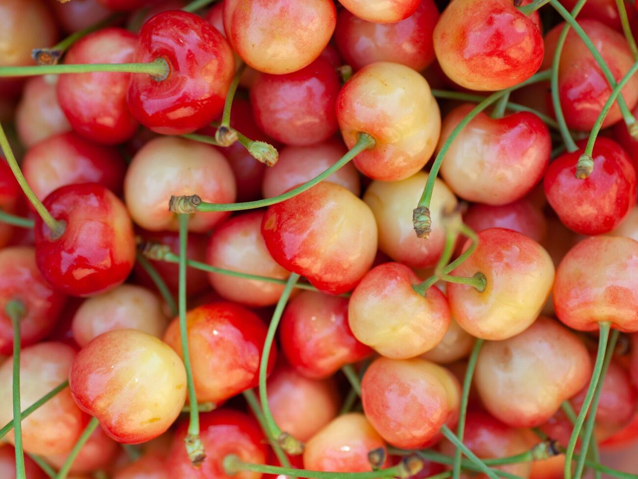 Є екологічний спосіб позбутися черв'яків