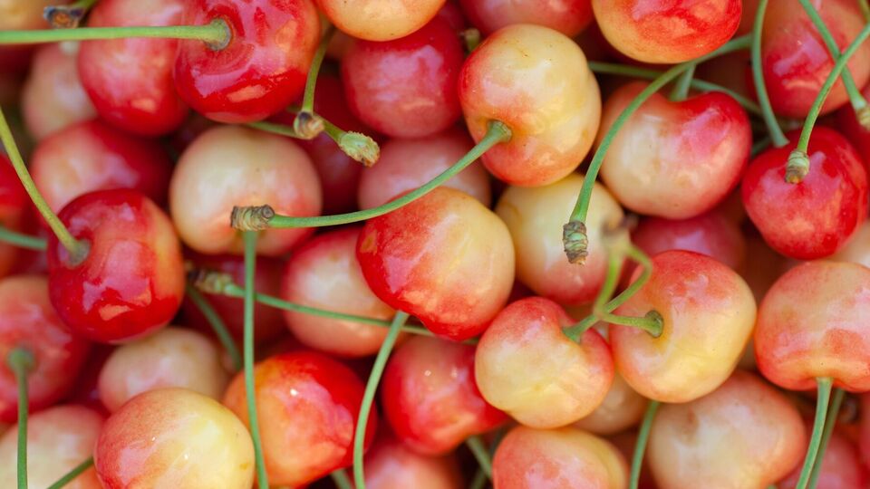 Существует экологический способ избавиться от червей