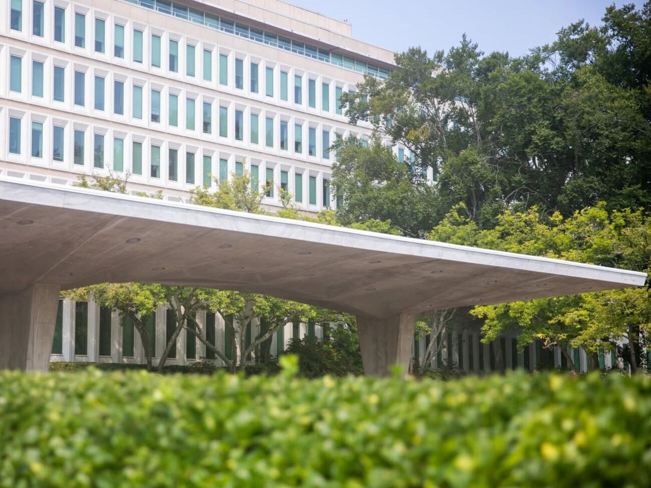 27-летнюю Моню Спадаро ранее привлекали к ответственности за вождение в состоянии алкогольного опьянения