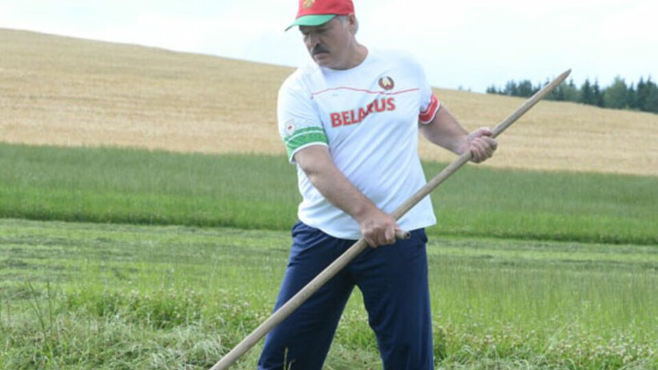 Попит на картоплю буде колосальним, вважає Лукашенко