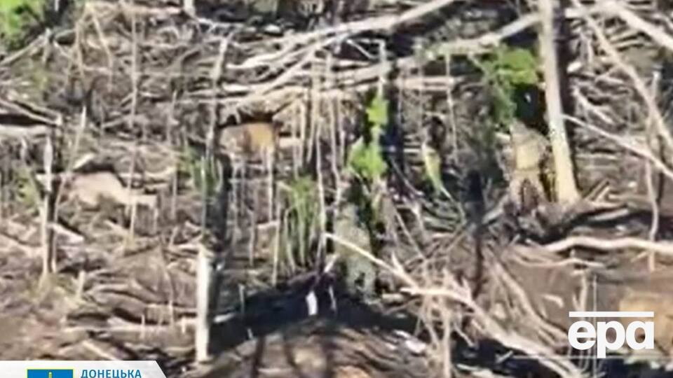 Умышленное убийство военнопленных является грубым нарушением Женевских конвенций, напоминает пресс-служба