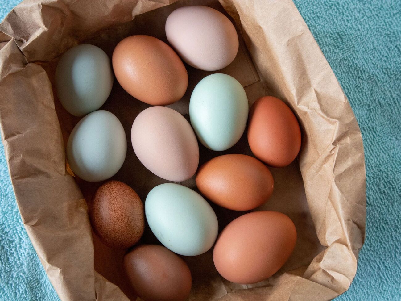 Если завести правильные породы кур, можно каждый день иметь домашние "крашенки"