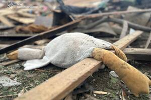 Еще 12 человек, среди которых ребенок, пострадали