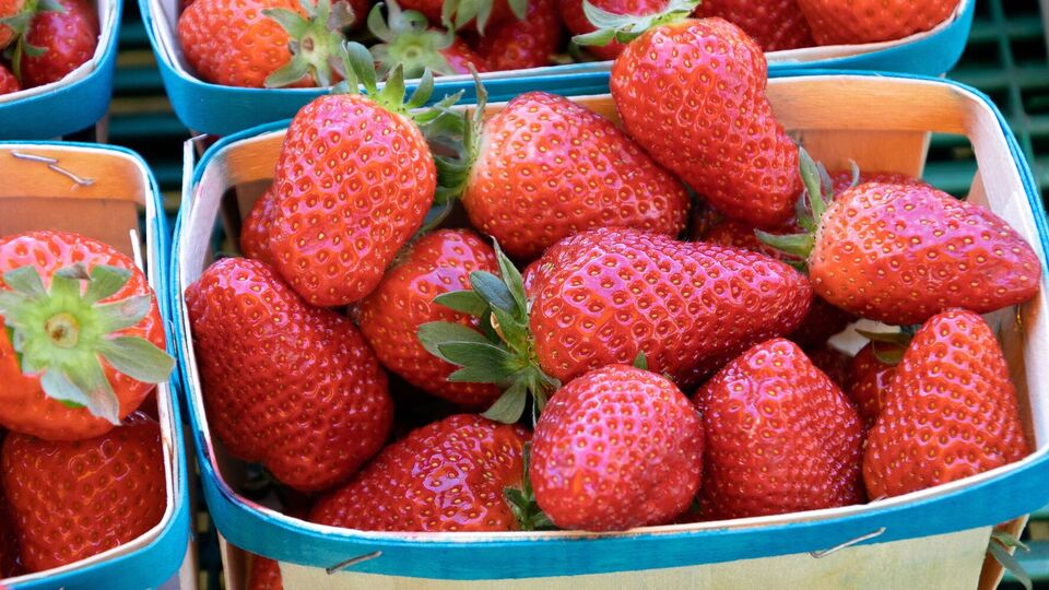 Клубника не должна блестеть, иначе это может свидетельствовать о том, что ее обрабатывали химикатами