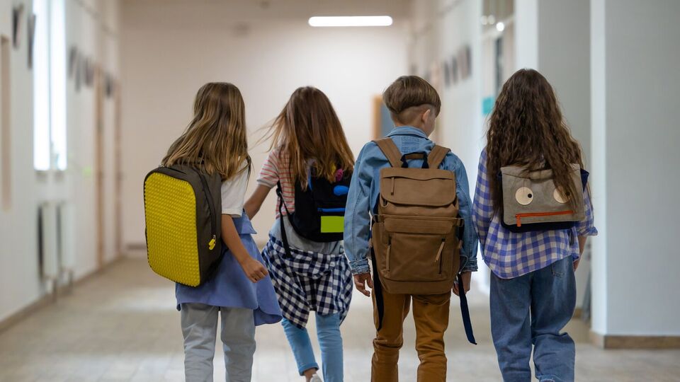 Станом на кінець 2024 року до омбудсмена надійшло 123 звернення про булінг у школах, розповів Лубінець