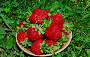 Полуниця буде дуже солодкою