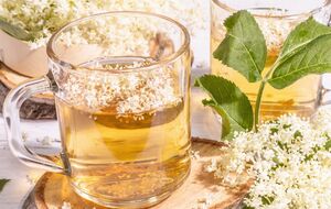 На 10 л воды нужно добавить 15 соцветий бузины