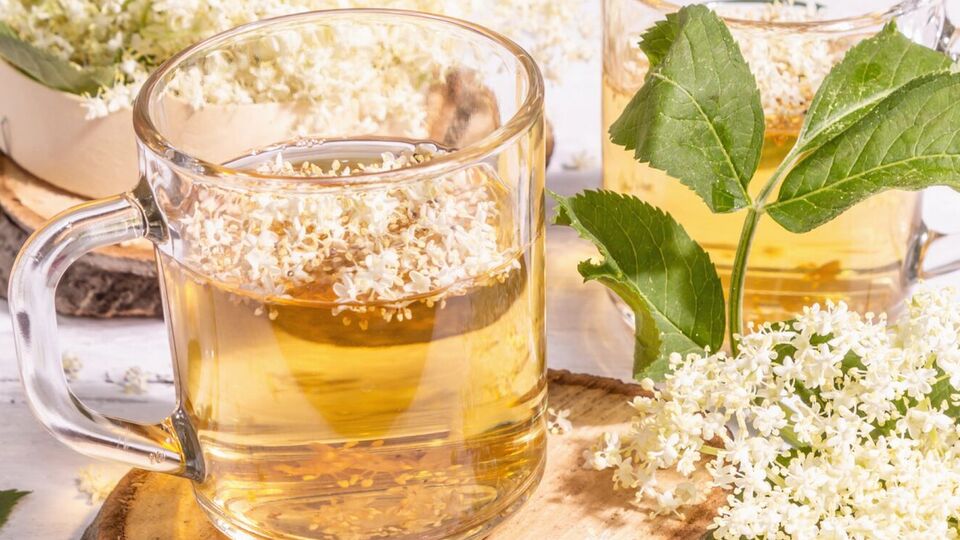 На 10 л води треба додати 15 суцвіть бузини
