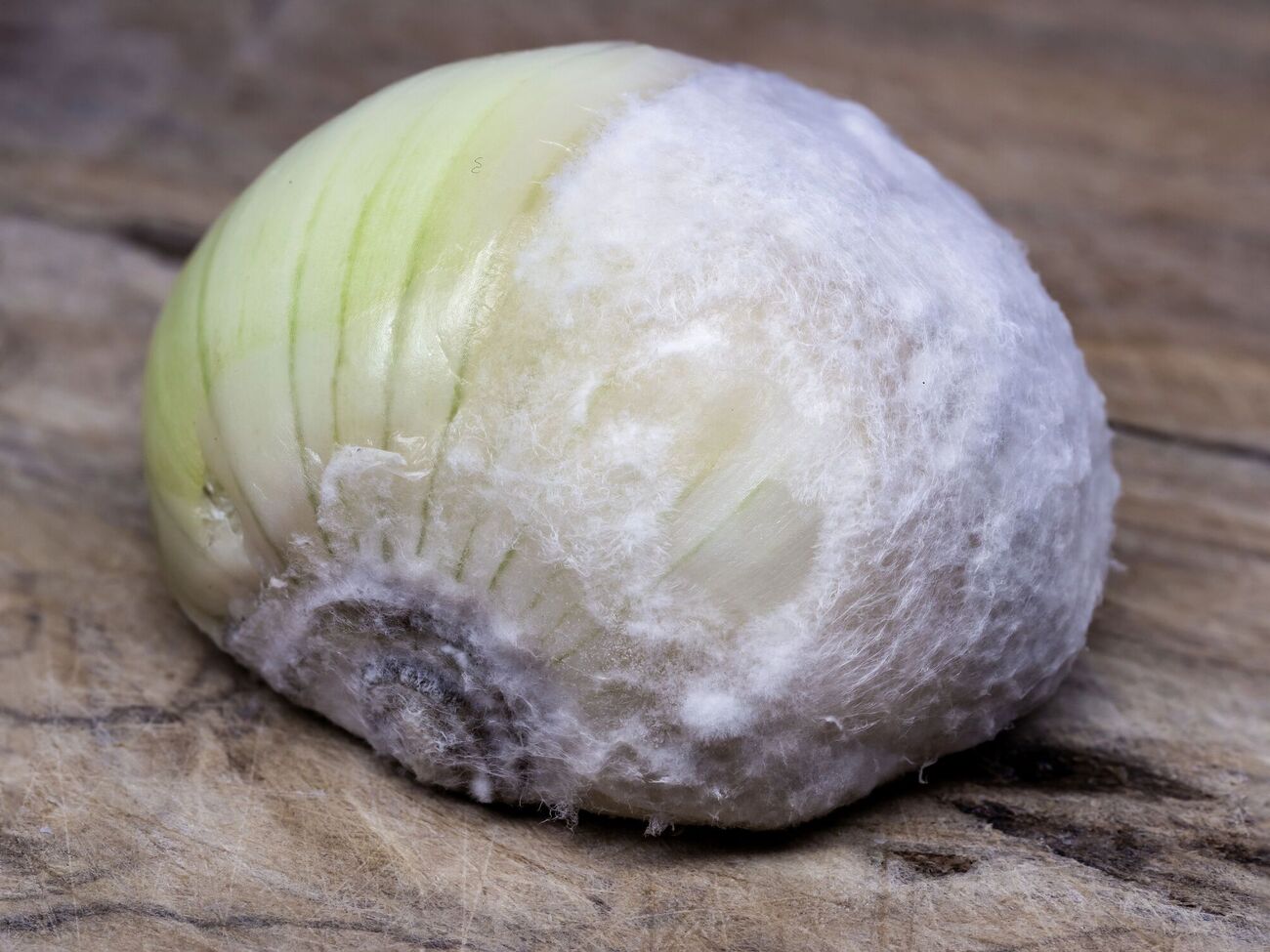 Лук нередко поражает гниль