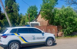 Інцидент стався в селі Ракошино