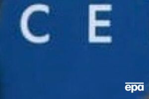 Собаку Фанні Стрейзанд придбала, поки чекала на клонів помершого домашнього улюбленця