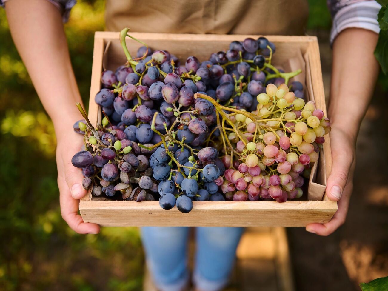 Биообработка не вредит не только людям, но и насекомым