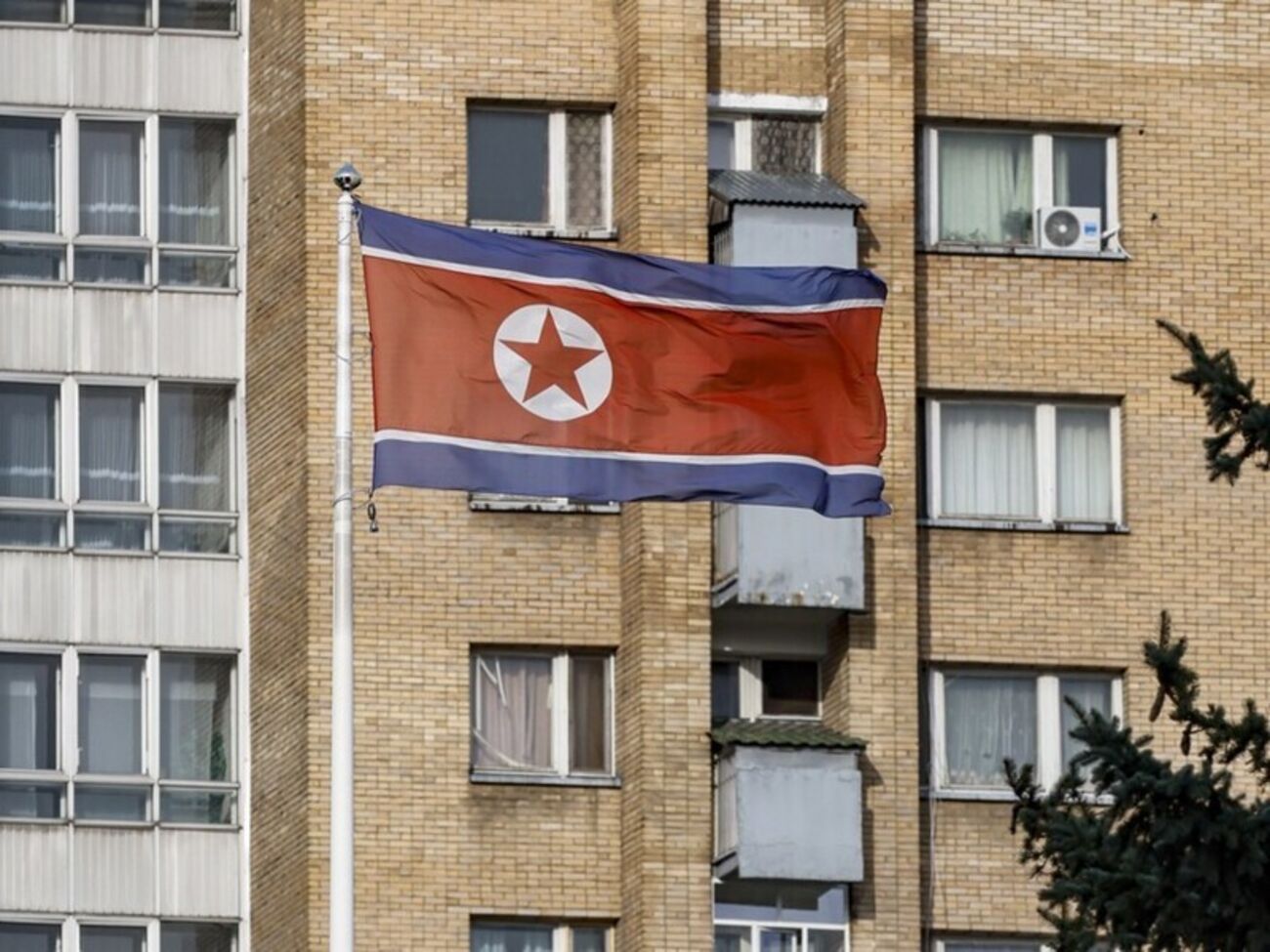 Отмечается, что количество северокорейских работников в России быстро растет