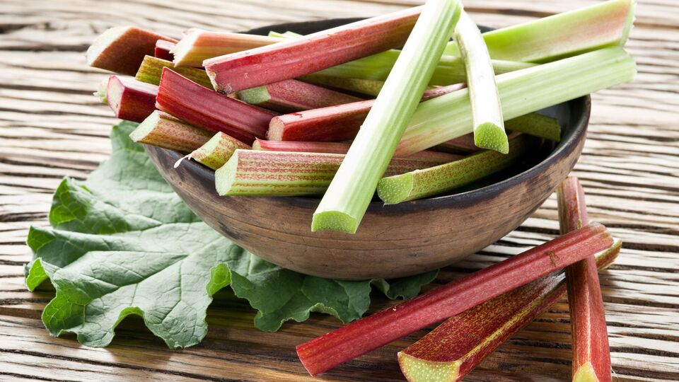 Из листьев ревеня может получиться компост для сада