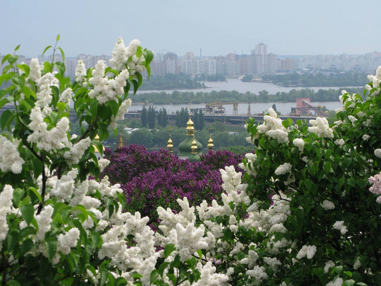 В Киеве воздух прогреется до +17 °С