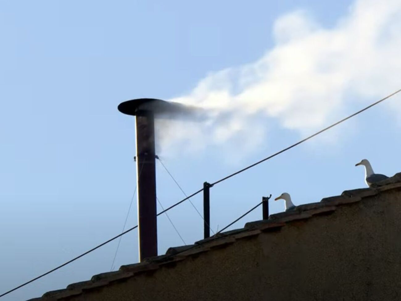 Белый дым означает, что кардиналы выбрали нового главу католической церкви