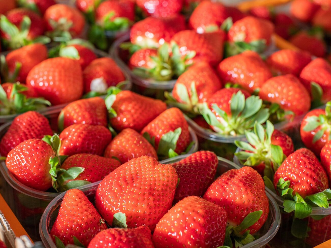 О спелости ягод свидетельствуют глубоко вдавленные в мякоть мелкие семена