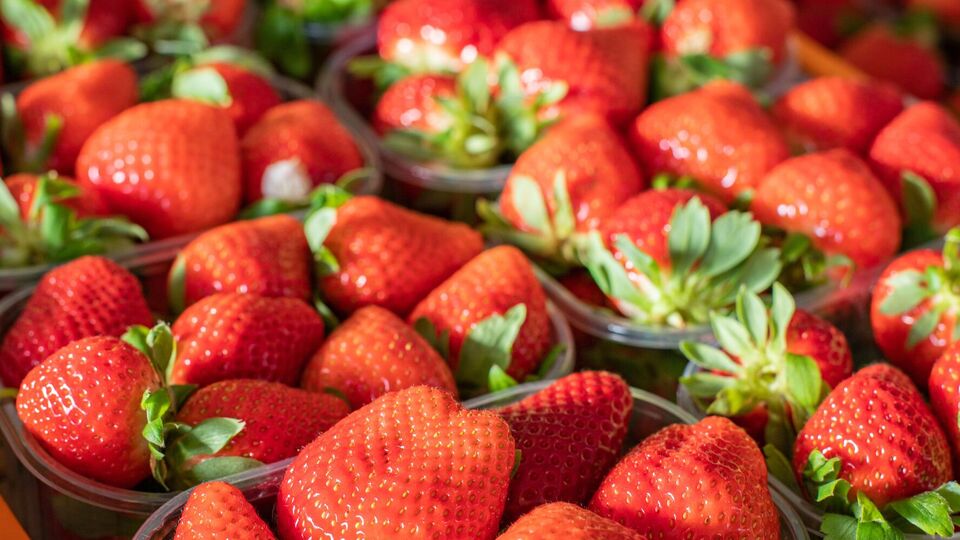 О спелости ягод свидетельствуют глубоко вдавленные в мякоть мелкие семена