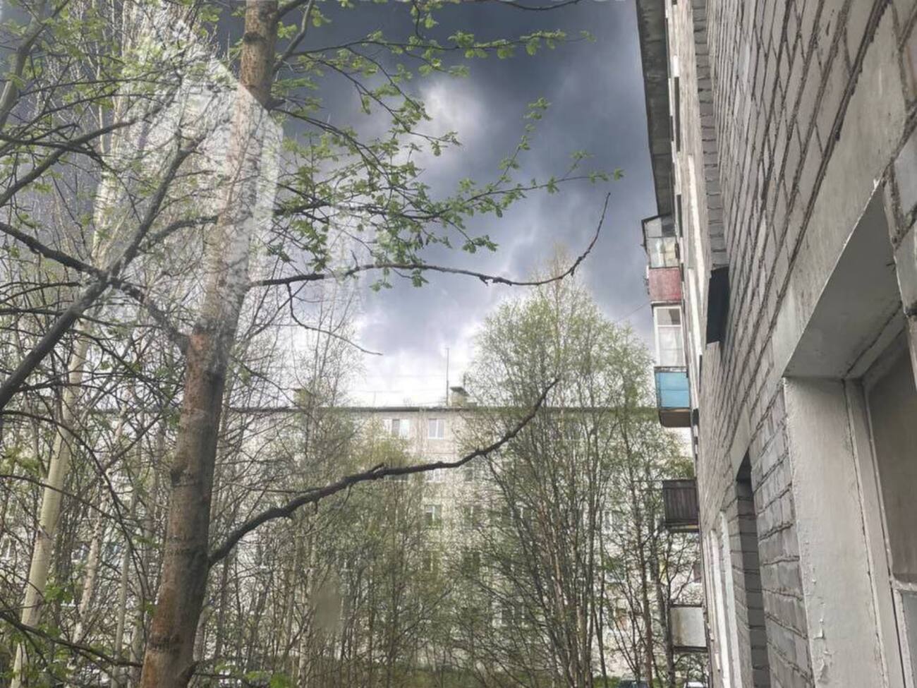 В Мурманской области – пожар в районе аэродрома