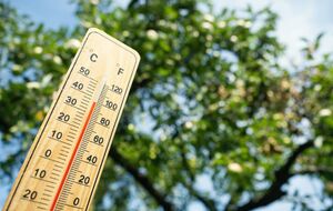 Прогнозируют, что начало лета будет теплым, но дождливым