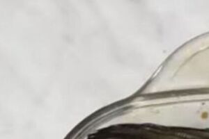 Для заправлення візьміть лимонний сік, соєвий соус і часник