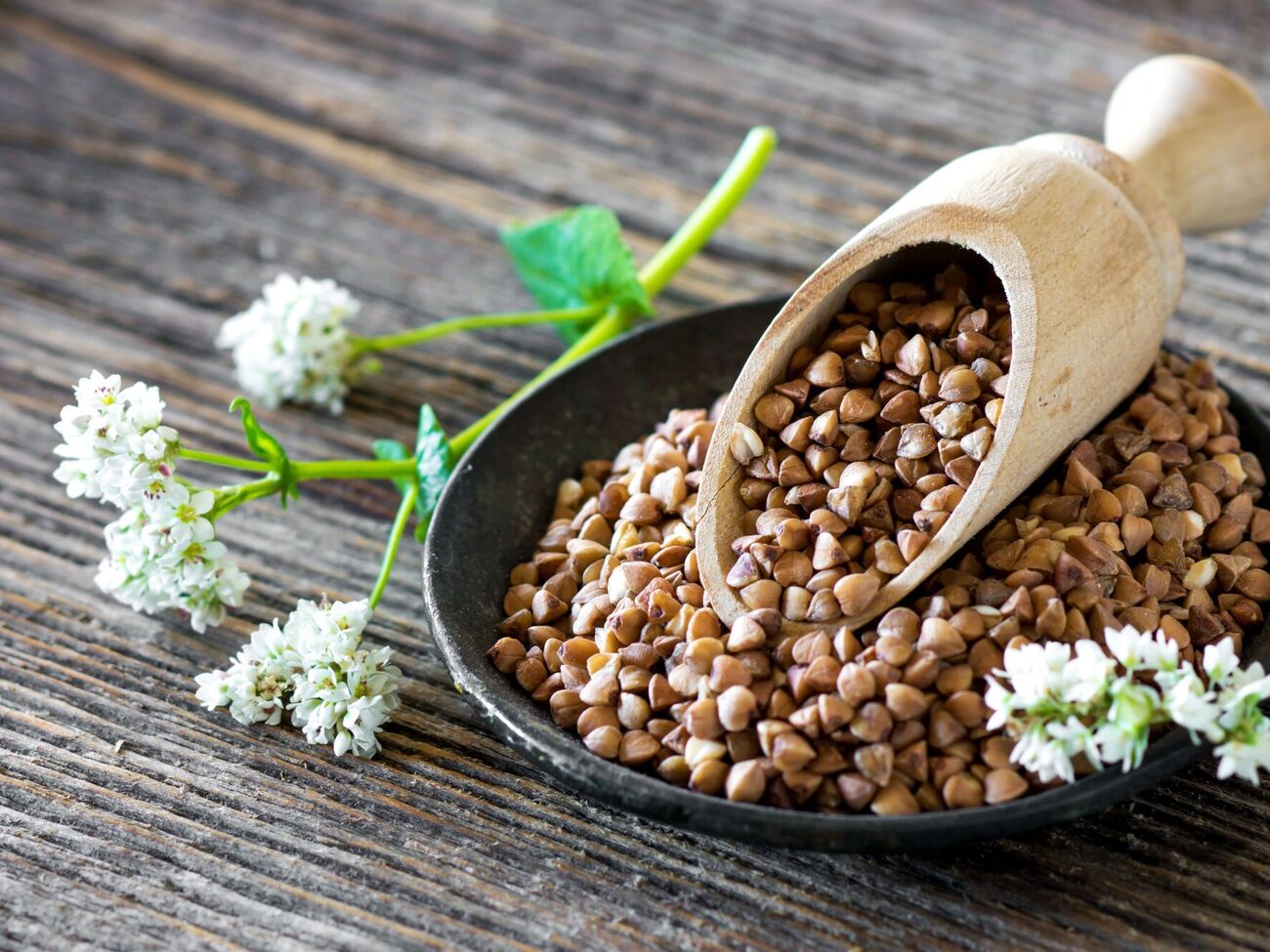 Гречку для огорода можно использовать несколькими способами