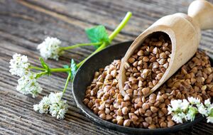 Гречку для городу можна використовувати в кілька способів