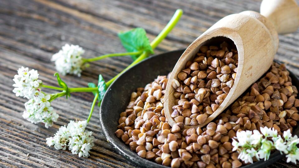 Гречку для огорода можно использовать несколькими способами