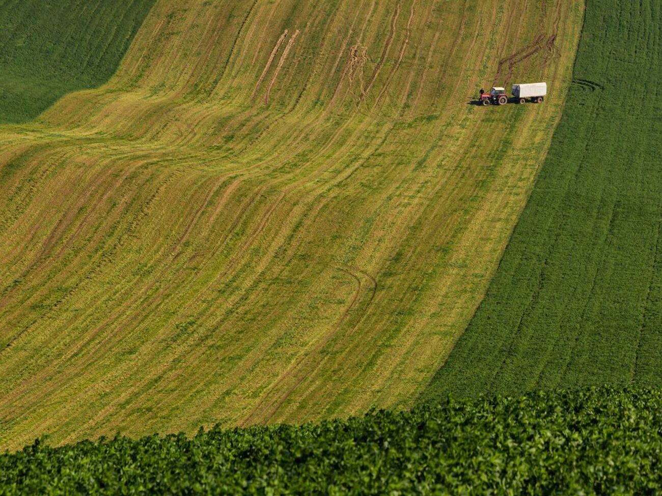 Последствия кризиса повлияют на всю аграрную экосистему, пишут "Українські новини"