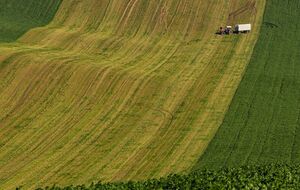 Последствия кризиса повлияют на всю аграрную экосистему, пишут "Українські новини"