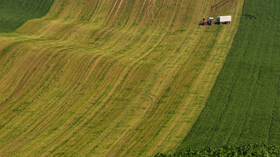 Последствия кризиса повлияют на всю аграрную экосистему, пишут "Українські новини"