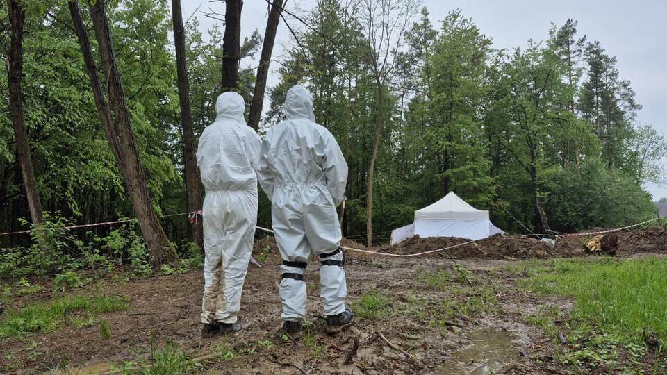 Украинский Минкульт: Примером успешного взаимодействия Украины и Республики Польша является совместное противодействие провокациям