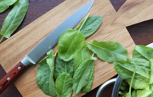 Консервированный щавель готовят без соли