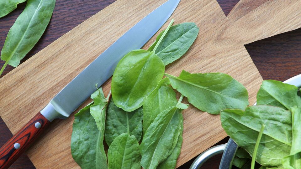 Консервированный щавель готовят без соли