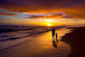 В 67 раз стало больше судебных дел о самостоятельном воспитании ребенка отцом