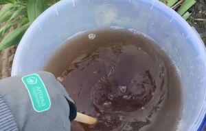 Проводить обработку нужно при благоприятных погодных условиях