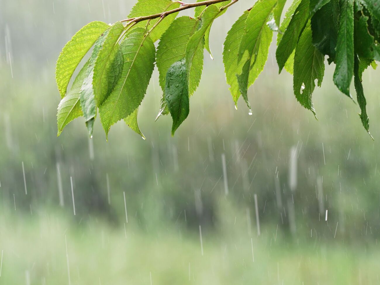 В некоторых областях возможны грозы