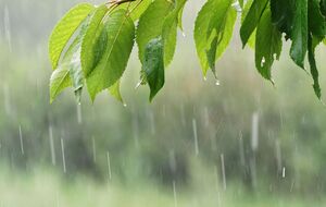 В некоторых областях возможны грозы