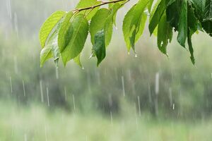 У деяких областях можливі грози